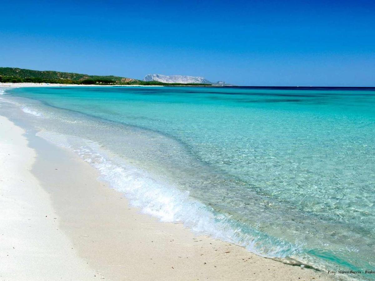 Appartamento Brezza Marina Budoni Buitenkant foto